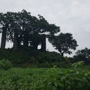 제주 이교동 일제군사시설 이미지