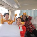 망고당 이미지