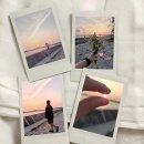 아쿠아펫랜드 이미지