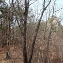 새신처럼 이미지