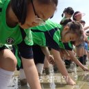 수왕초등학교 충청매일
