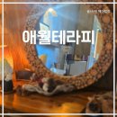 5775 | 애월마사지 제주 여행 피로 제대로 풀리는 애월테라피 타이마사지 재방문후기