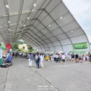 구구자원 | [2025 무주반딧불축제] 신비탐사 티켓팅에 실했다면, 돈으로 해결하자! 고향사랑e음 답례품 찬스