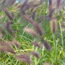 능동공원 이미지