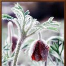 한재공원 이미지