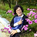 청도레일바이크 이미지