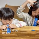 웰릿 | 어린이 키성장 영양제 웰릿 아이키엔 솔직후기