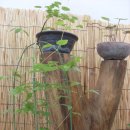 동의중학교 이미지