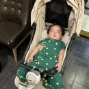 펙토커피바
