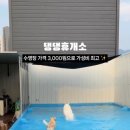 댕댕휴개소 이미지