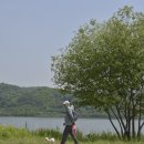 북한강로 이미지