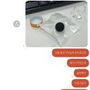 현정목장 | 내 주소지는 대전