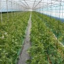 빛고을농장 이미지