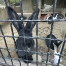 좌구산 옥상정원 이미지