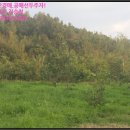 용흥리축사 이미지