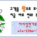 부산버스공동환승터미널 이미지