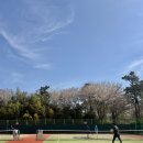 안정순환로267번길 네이버블로그