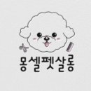 버블펫쌀롱 이미지