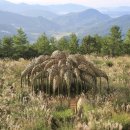 바람언덕 이미지