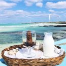 제주에선 쪼끌락 이미지