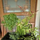 서천군도시재생지원센터 - 도시재생대학 이미지