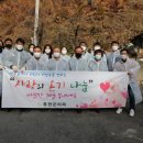 홍천군의회 이미지