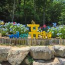 거제자연휴양림(거제) 이미지