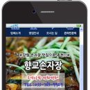 향교손자장