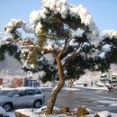 우성면사무소 이미지