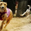 오수민속장터 이미지