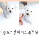 개밥드슈 이미지