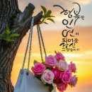 행복한의료기 이미지