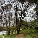 초원목장1 | SNS 핫플 인생샷 맛집 아이와 가볼만한 곳 춘천 해피초원목장 주차 및 방문 후기