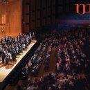 가메조네 이미지