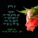 동일회