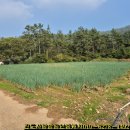 광전공인중개사사무소 이미지