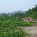 포항시북구34 이미지