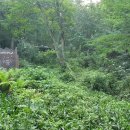 동살공원 이미지