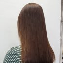 월드컵게임랜드 이미지