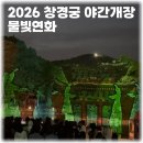 물빛기술 | 2026 창경궁 물빛연화 야간개장 실제 방문후기 관람꿀팁