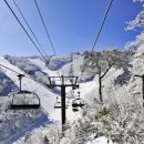 무주 덕유산 리조트 이미지