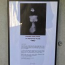 완주 여행 추천｜아원 후기(아원고택, 아원갤러리)