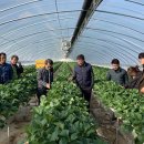 각화도매시장 중앙청과 이미지