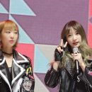 하니언니 이미지