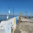 진건어물 이미지