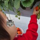 인건농장 이미지