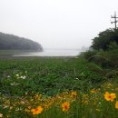 프라자호텔 이미지