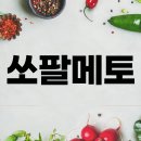열매약국 | 쏘팔메토 효능 부작용 영양성분 옥타코사놀 복용 후기 먹는법 총정리