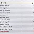 소피마르소여성의원 이미지