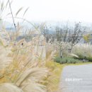 사니정원 이미지